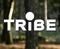 Tribe